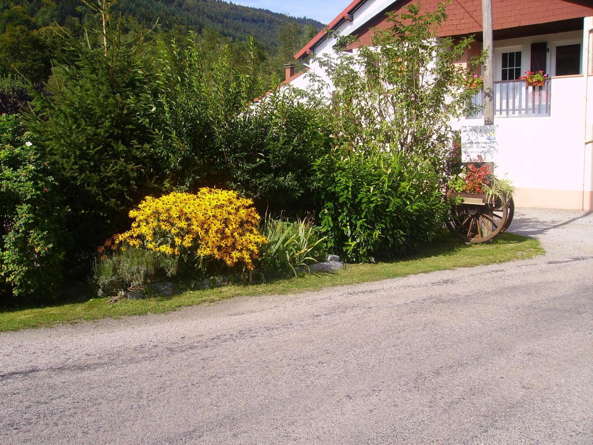 Gites Les Grandes Voies - Cle Vacances Le Ménil Exteriör bild